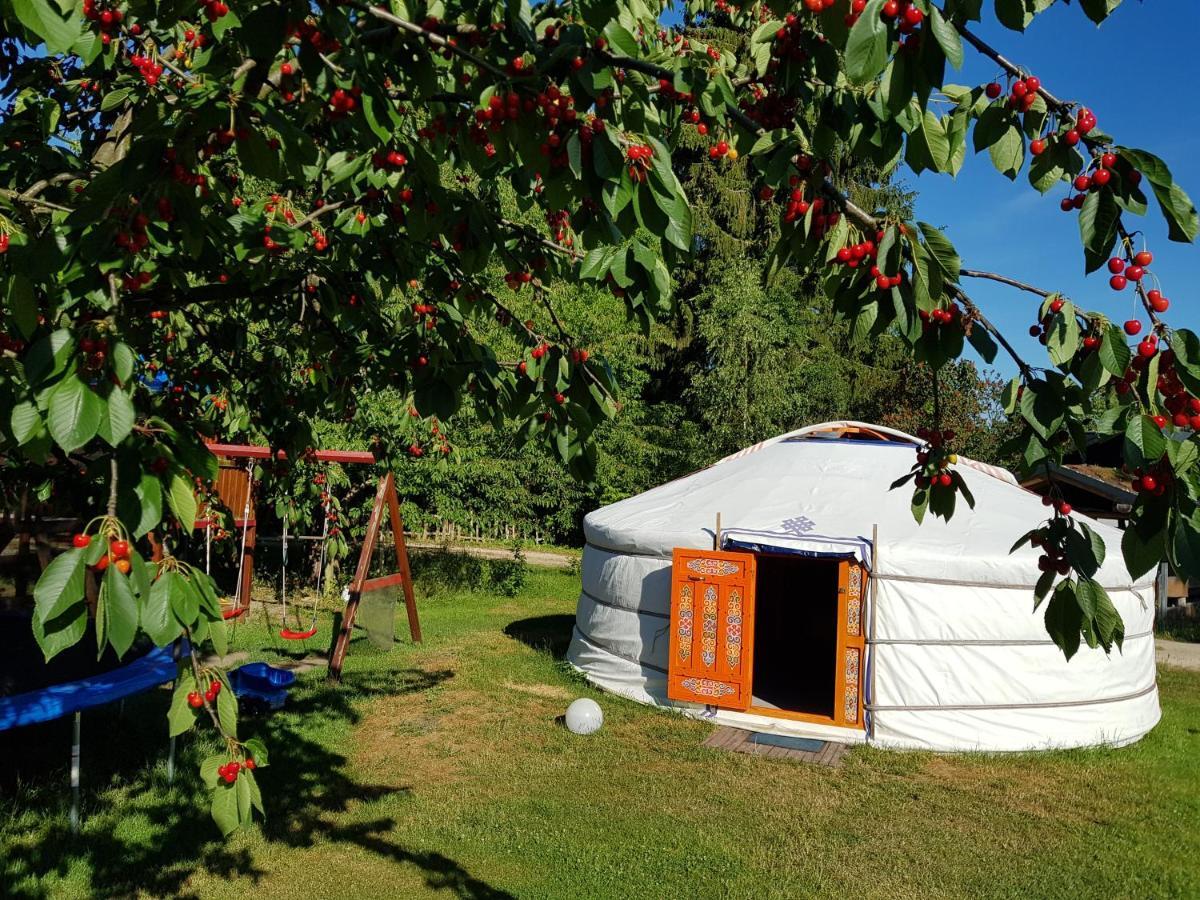 Pension New Nomads Zesch Exteriör bild